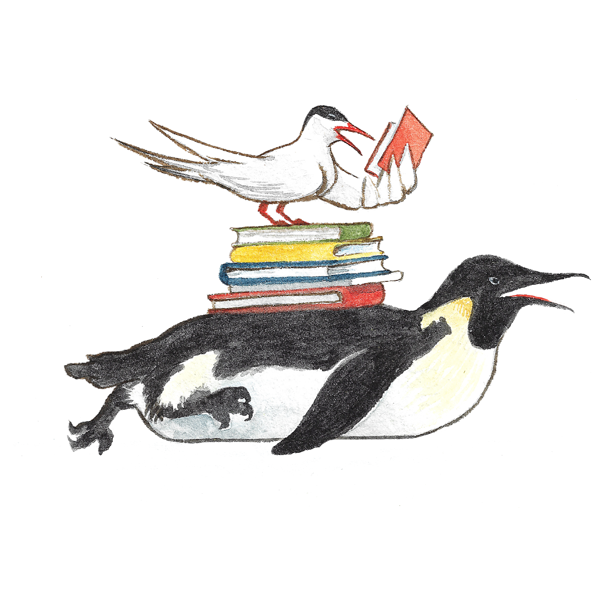 Tern Reading on a Penguin